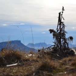 2016-12 France/Le Semnoz/DSC_0218.JPG